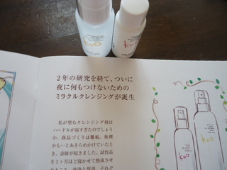 DSC06093.JPG