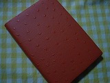 DSC07846.jpg
